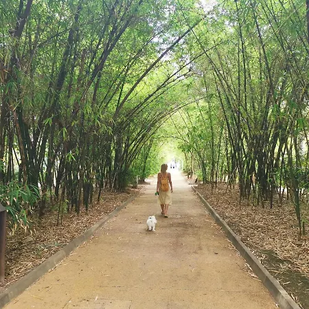 Home2book Front Gaviotas Santa Cruz de Tenerife