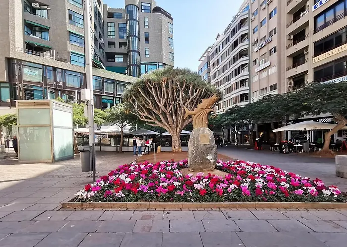 Апартаменты Home2book Front Gaviotas *