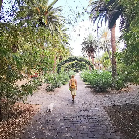 Home2book Front Gaviotas Lägenhet *