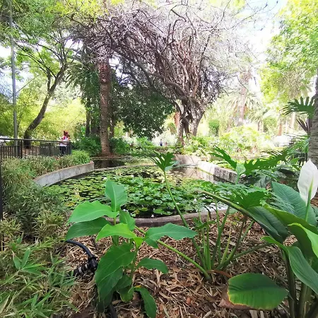 Home2book Front Gaviotas Lägenhet