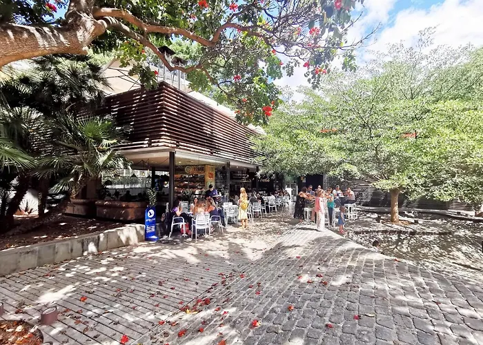 公寓 Home2book Front Gaviotas 圣克鲁斯-德特内里费