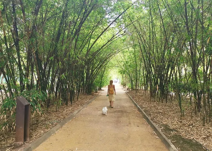 Home2book Front Gaviotas Σάντα Κρουζ Τενερίφης