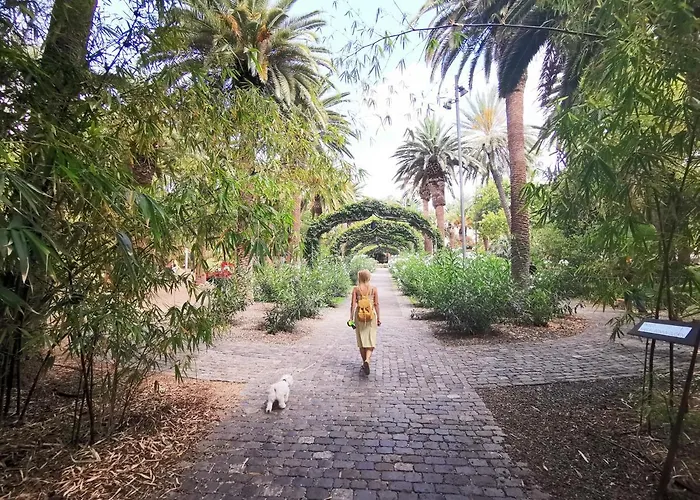 Home2book Front Gaviotas Διαμέρισμα *