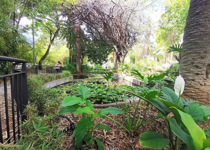 Home2book Front Gaviotas Διαμέρισμα